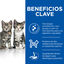 Hill's Science Plan Perfect Digestion Kitten Pienso para gatos, , large indicador imagen numero 3